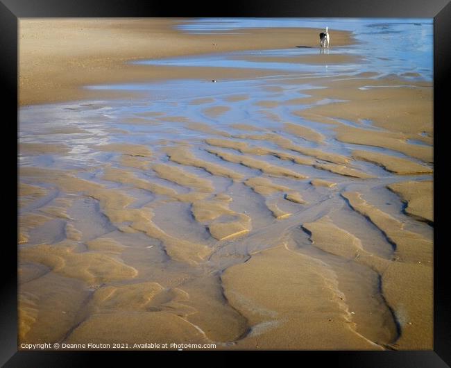Solitude on East Hampton Beach Framed Print by Deanne Flouton