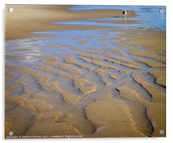 Solitude on East Hampton Beach Acrylic by Deanne Flouton