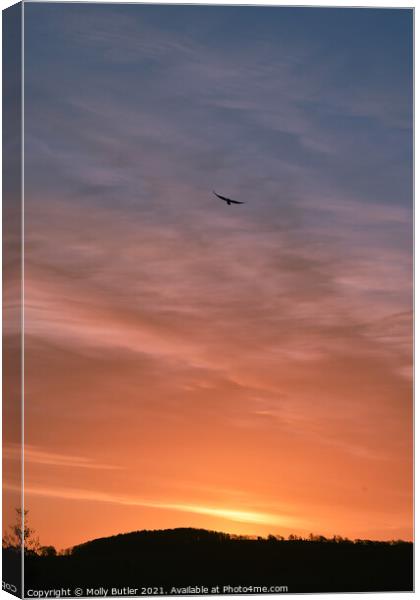 Bird enjoying the sunrise Canvas Print by Molly Butler