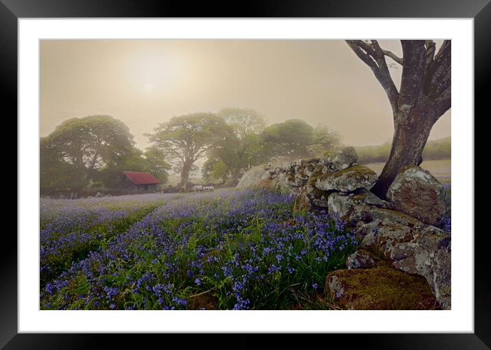 Dartmoor in Spring Framed Mounted Print by David Neighbour