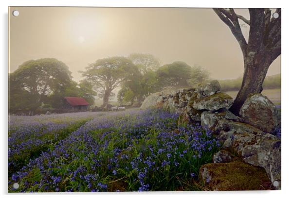 Dartmoor in Spring Acrylic by David Neighbour