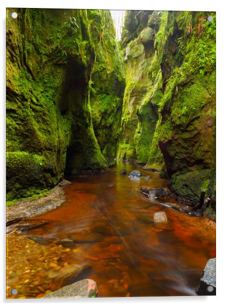 Finnich Glen, Stirlingshire, Scotland. Acrylic by Tommy Dickson