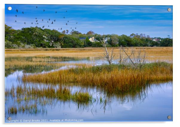 Salt Water Marsh at High Tide Acrylic by Darryl Brooks