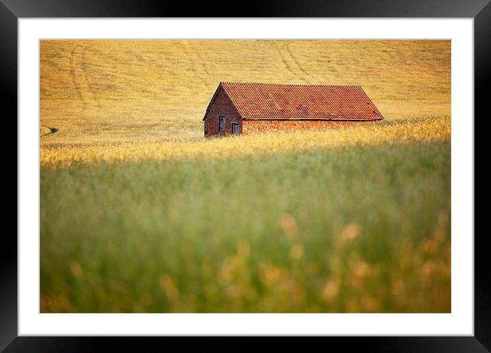 The Little Barn Exmoor Framed Mounted Print by Andrew Wheatley