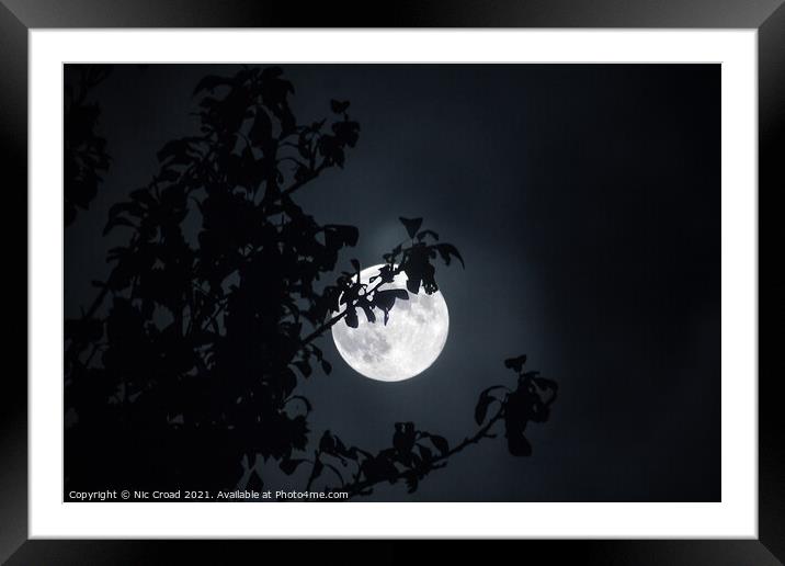 Full Moon through tree Framed Mounted Print by Nic Croad