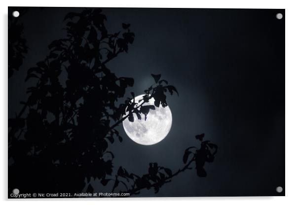 Full Moon through tree Acrylic by Nic Croad