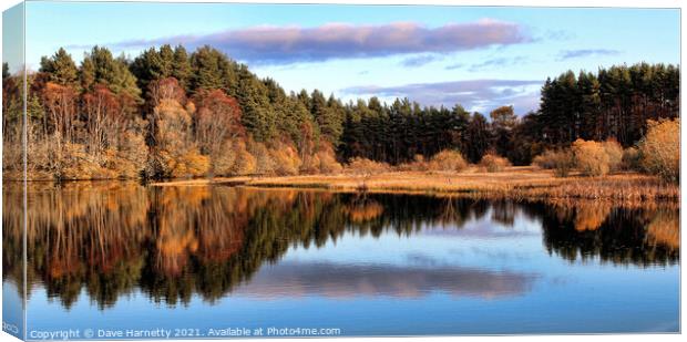 Loch Kildary-Ross-shire,Scotland. Canvas Print by Dave Harnetty