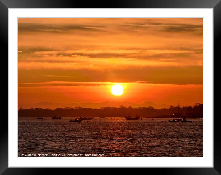 Sunrise over Langstone Harbour Framed Mounted Print by Norbert David