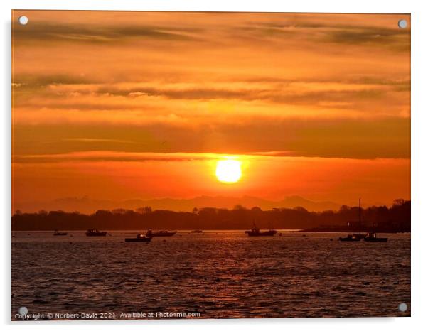 Sunrise over Langstone Harbour Acrylic by Norbert David