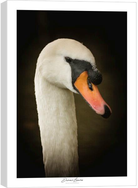 Swan Signed Print Canvas Print by Duncan Loraine
