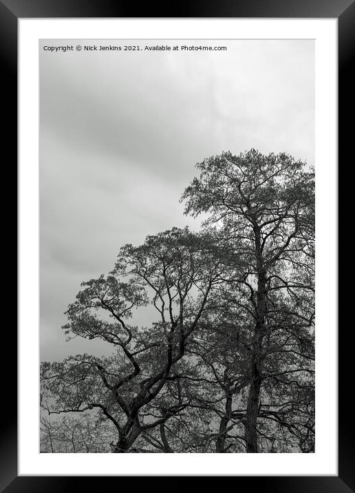 Winter Sky Winter Trees Woodland Monochrome Framed Mounted Print by Nick Jenkins