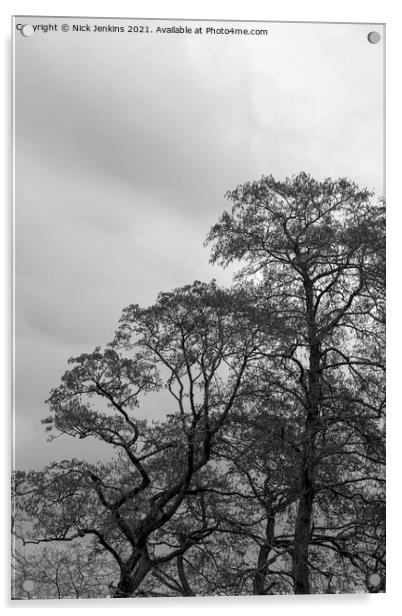 Winter Sky Winter Trees Woodland Monochrome Acrylic by Nick Jenkins