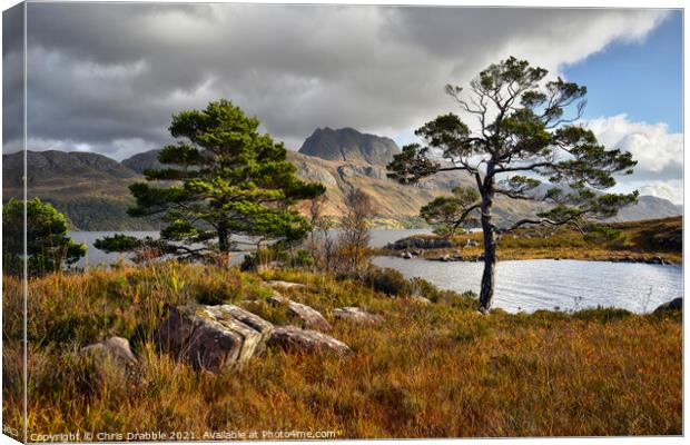 Loch Maree and Slioch Canvas Print by Chris Drabble