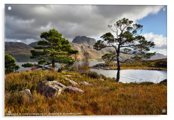 Loch Maree and Slioch Acrylic by Chris Drabble