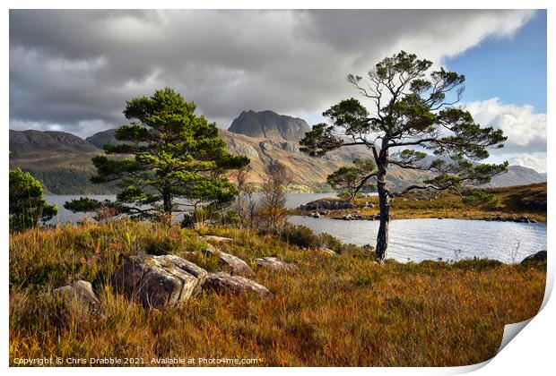 Loch Maree and Slioch Print by Chris Drabble