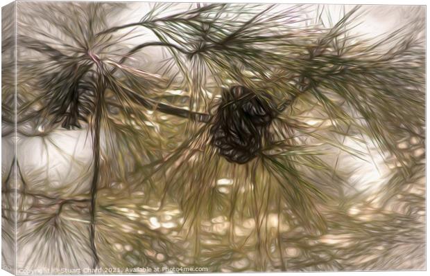 Pine cones and branches artwork Canvas Print by Travel and Pixels 