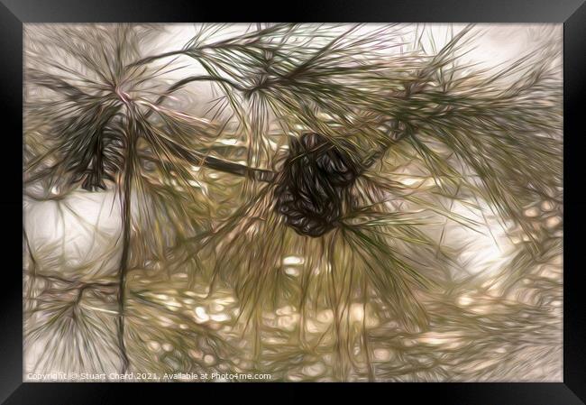 Pine cones and branches artwork Framed Print by Stuart Chard