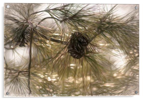 Pine cones and branches artwork Acrylic by Travel and Pixels 