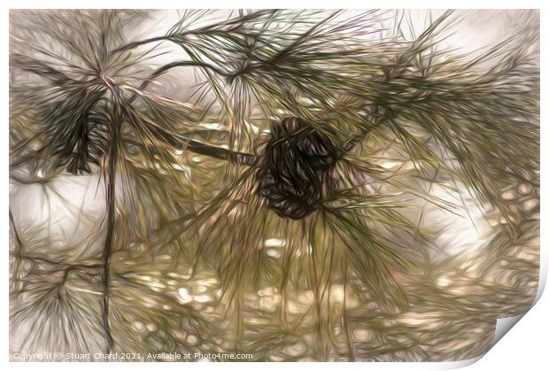 Pine cones and branches artwork Print by Travel and Pixels 