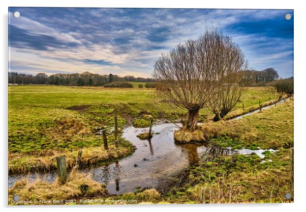 Small creek with willows near Bindeballe, Denmark Acrylic by Frank Bach