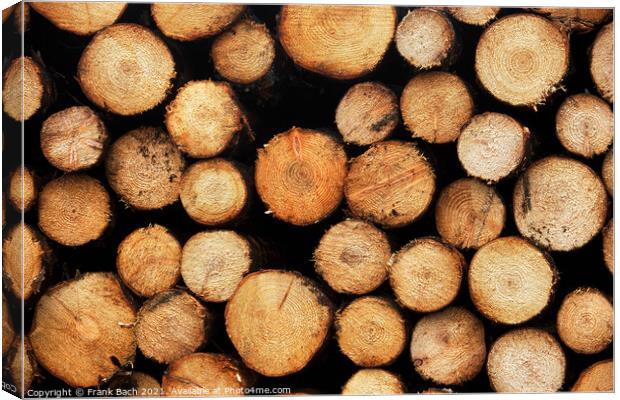Piles heaps of cutted wood, Denmark Canvas Print by Frank Bach