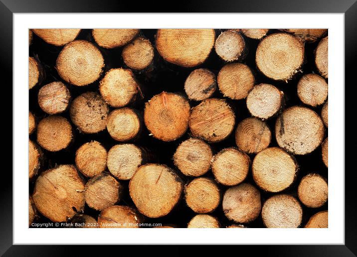 Piles heaps of cutted wood, Denmark Framed Mounted Print by Frank Bach