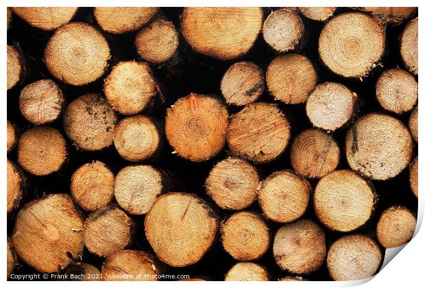 Piles heaps of cutted wood, Denmark Print by Frank Bach