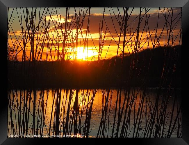 Sunset Over The Lake Framed Print by Laura Haley