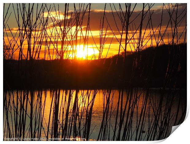 Sunset Over The Lake Print by Laura Haley