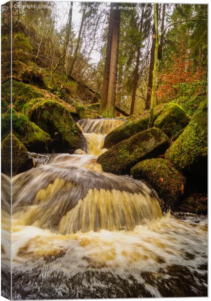 Enchanting Waterfall in a Forest Canvas Print by Stephen Hollin