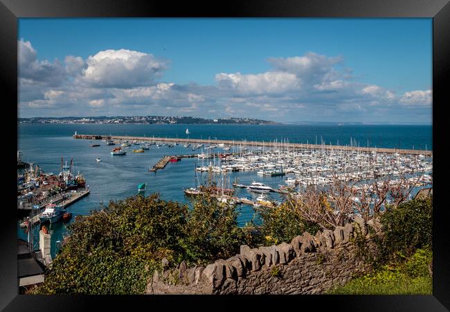 Brixham harbour from North View Road Framed Print by Wendy Williams CPAGB