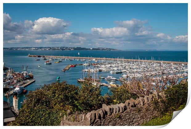 Brixham harbour from North View Road Print by Wendy Williams CPAGB