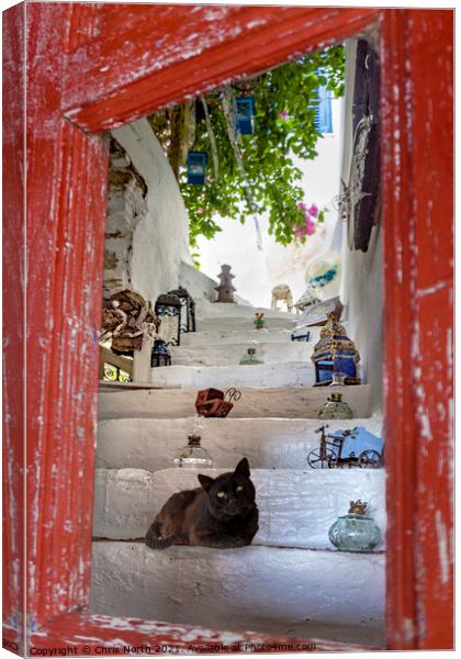 Cat and curios, Kythnos Greek Islands. Canvas Print by Chris North
