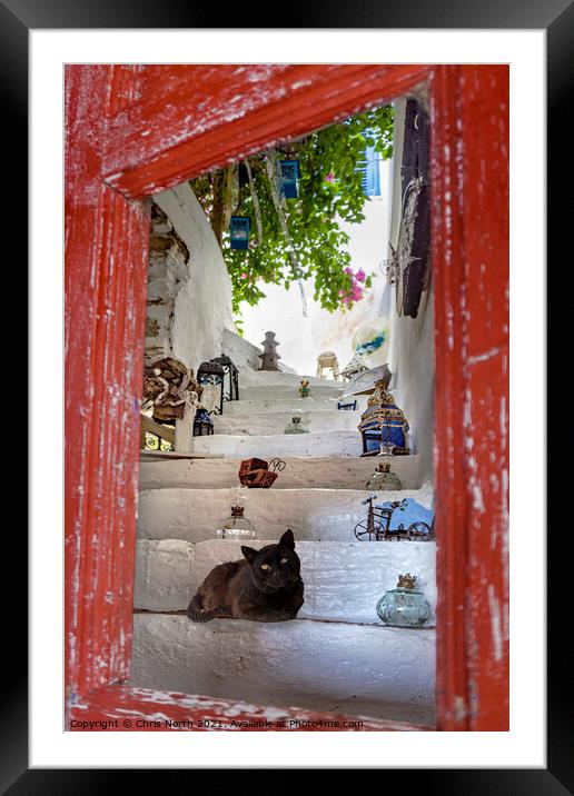 Cat and curios, Kythnos Greek Islands. Framed Mounted Print by Chris North