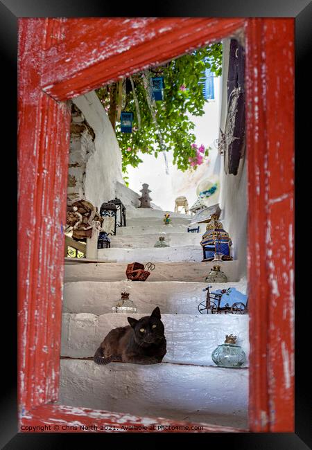 Cat and curios, Kythnos Greek Islands. Framed Print by Chris North