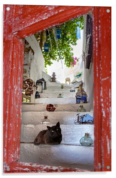 Cat and curios, Kythnos Greek Islands. Acrylic by Chris North