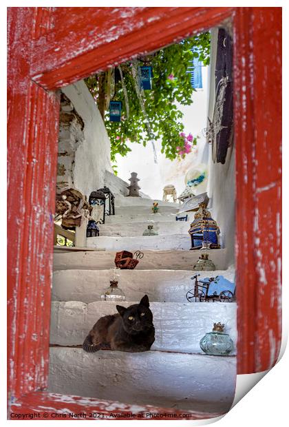 Cat and curios, Kythnos Greek Islands. Print by Chris North