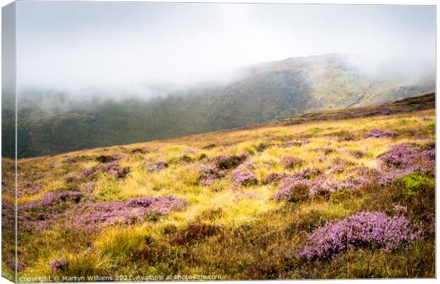Moorland Heather, Kinder Scout Canvas Print by Martyn Williams