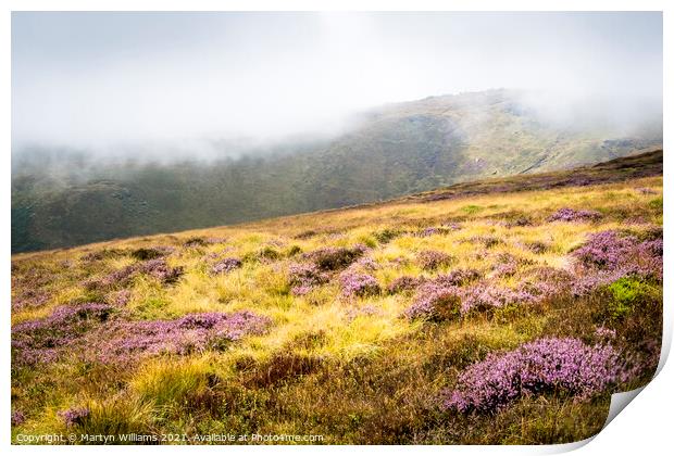 Moorland Heather, Kinder Scout Print by Martyn Williams