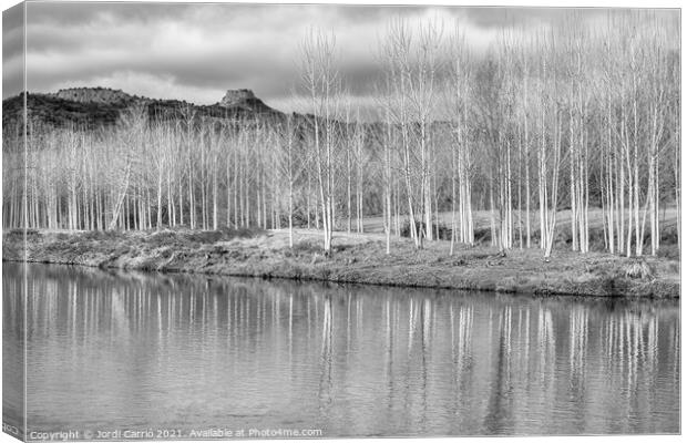 Reflections of the Ter in Torelló - CR2012-4189-BW Canvas Print by Jordi Carrio