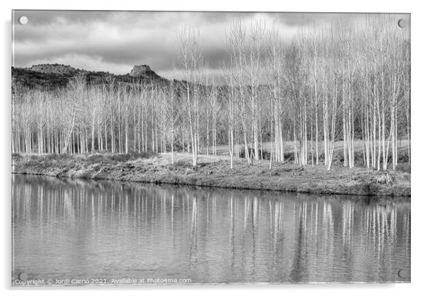 Reflections of the Ter in Torelló - CR2012-4189-BW Acrylic by Jordi Carrio