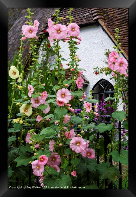 A thatched cottage with Hollyhock flowers  Framed Print by Joy Walker