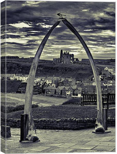 The Whale Jaw Bone Arch Canvas Print by Kevin Tate