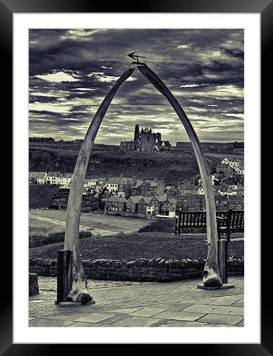 The Whale Jaw Bone Arch Framed Mounted Print by Kevin Tate