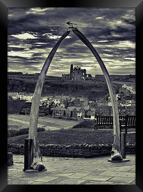 The Whale Jaw Bone Arch Framed Print by Kevin Tate