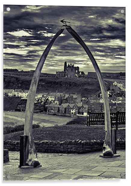 The Whale Jaw Bone Arch Acrylic by Kevin Tate