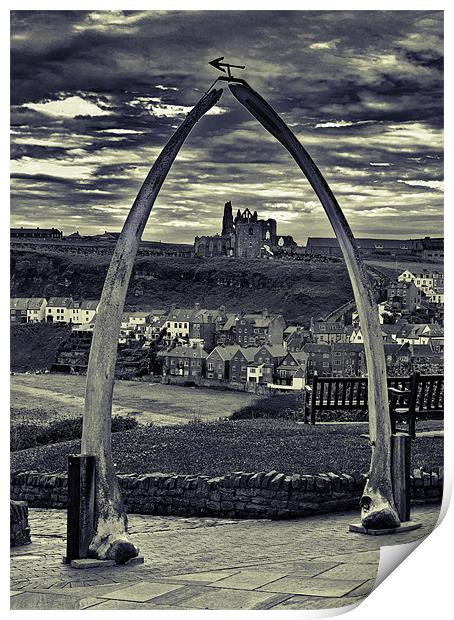 The Whale Jaw Bone Arch Print by Kevin Tate