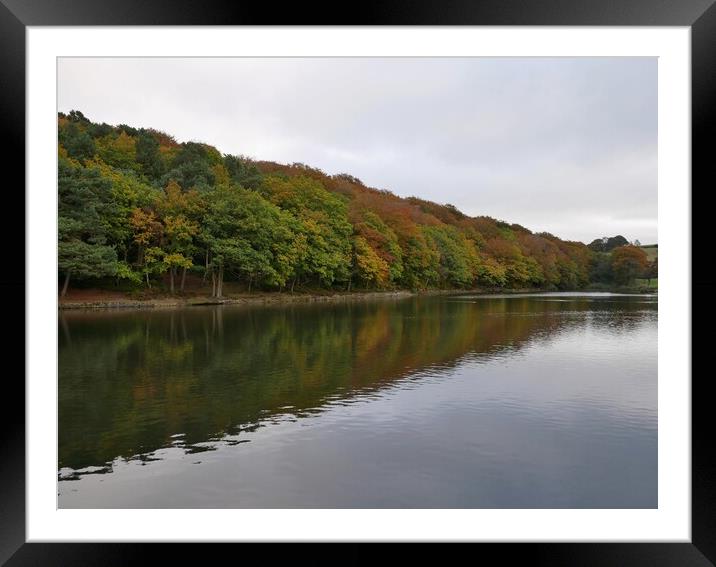 Autumn colours reflections Huddersfield Framed Mounted Print by Roy Hinchliffe