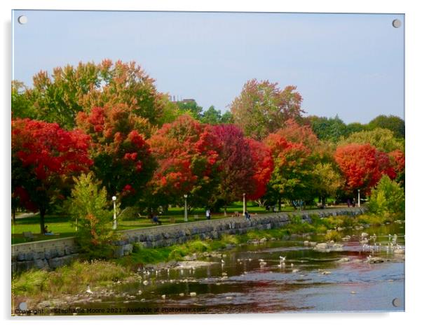 Strathcona Park  Acrylic by Stephanie Moore