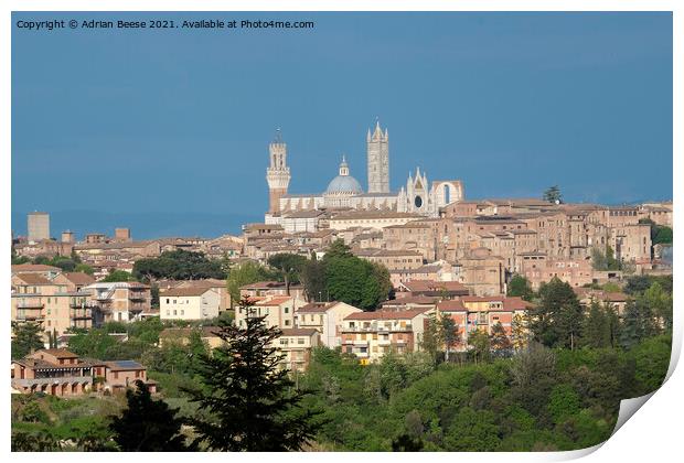 Siena in Tuscany Cityscape Print by Adrian Beese